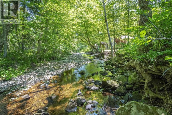 1706 Brookland Road, Six Mile Brook, NS B0K1H0 Photo 5