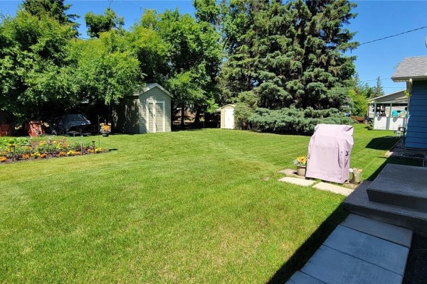 Backyard with a large green lawn, two sheds, and mature trees surrounding the property. - 1707 98th Street, Tisdale