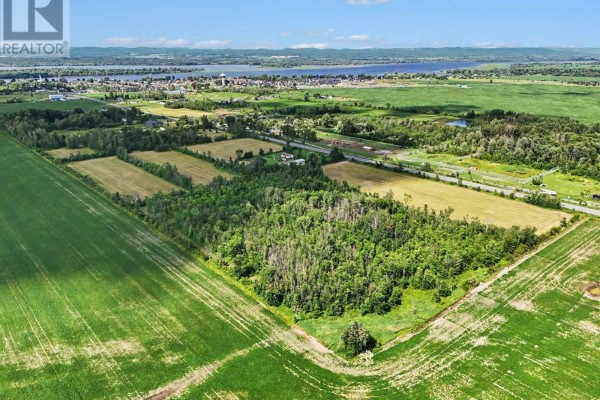 171 County Rd 19 Road, Alfred And Plantagenet, ON K0A3K0 Photo 5