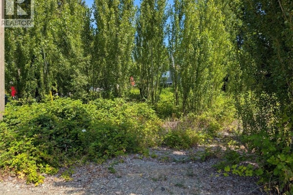 172 South Shore Rd, Lake Cowichan, BC V0R2G0 Photo 2