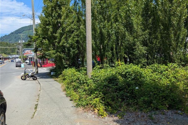 172 South Shore Rd, Lake Cowichan, BC V0R2G0 Photo 3