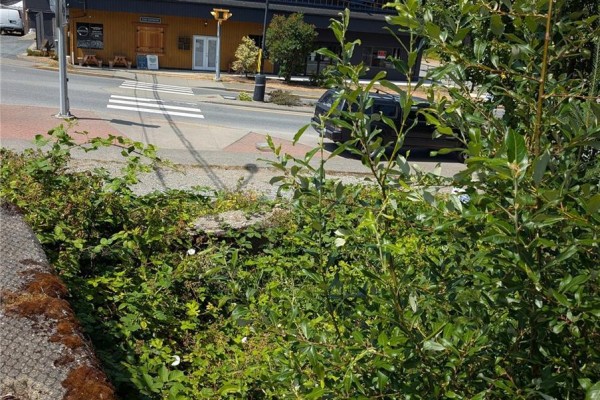 172 South Shore Rd, Lake Cowichan, BC V0R2G0 Photo 4