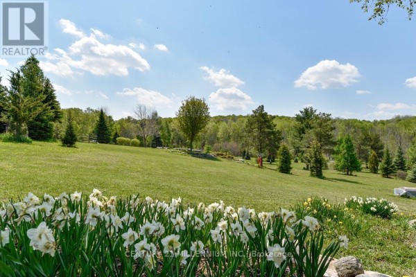 17218 Innis Lake Road, Caledon, ON L7K2K6 Photo 5
