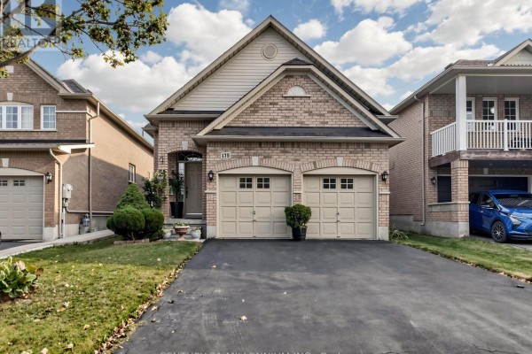 Kitchen - 173 Fairhill Avenue, Brampton, ON L7A2J2 Photo 2
