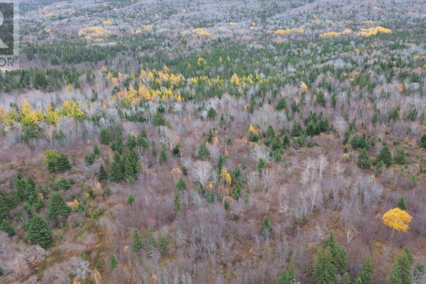 173 Southwest Margaree Road, Southwest Margaree, NS B0E2A0 Photo 2