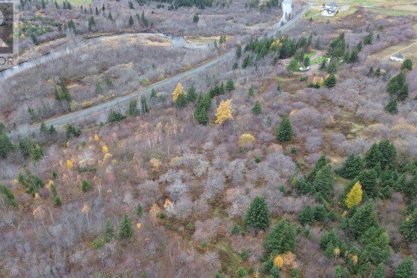 173 Southwest Margaree Road, Southwest Margaree, NS B0E2A0 Photo 3