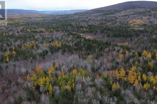 173 Southwest Margaree Road, Southwest Margaree, NS B0E2A0 Photo 4