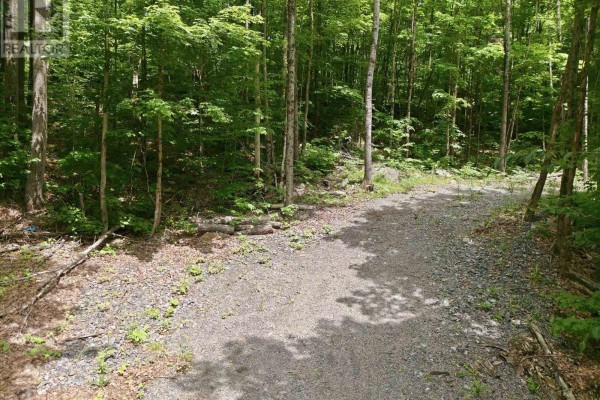 1731 Fraserburg Road, Bracebridge, ON P1L1X3 Photo 4