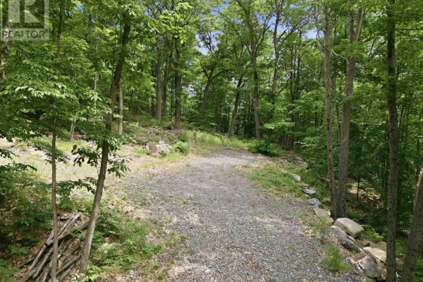 1731 Fraserburg Road, Bracebridge, ON P1L1X3 Photo 5