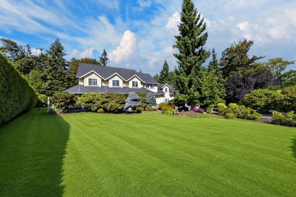 17377 28a Avenue, Surrey, BC V3Z0E7 Photo 3