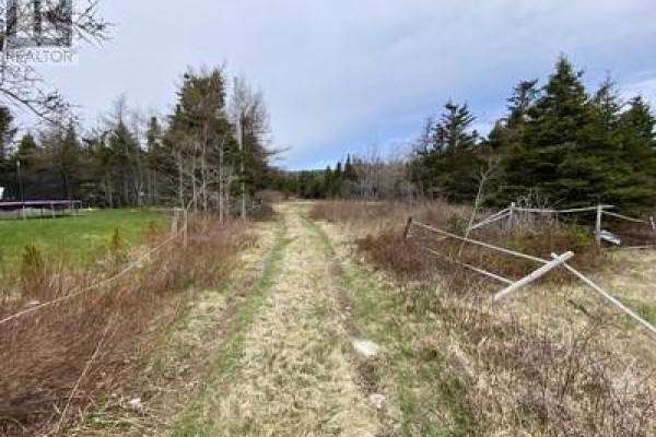 173a Highway East, Victoria, NL A0A4G0 Photo 4