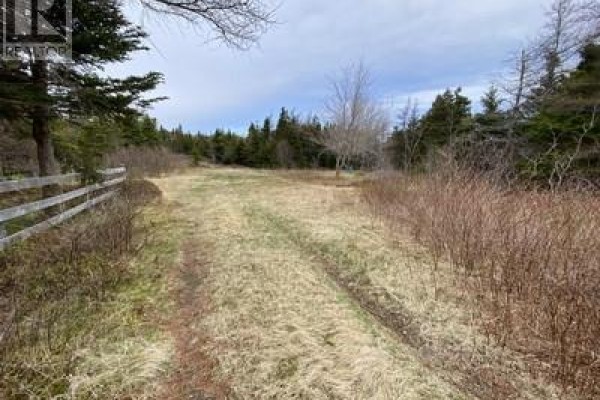173a Highway East, Victoria, NL A0A4G0 Photo 5
