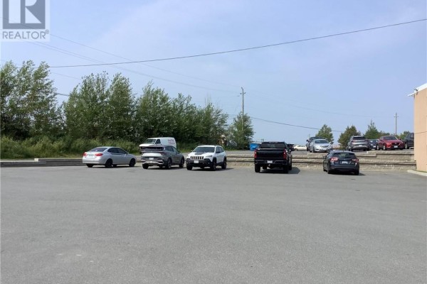174 Douglas Street, Sudbury, ON P3E1G1 Photo 4