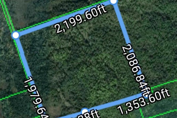 Foyer - 174 Moon Line Road N, Trent Lakes, ON K0M1A0 Photo 5