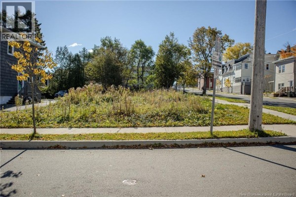 Close-up aerial view of multiple lots, including 174 Pitt Street, showing property lines and some structures. - 174 Pitt Street, Saint John