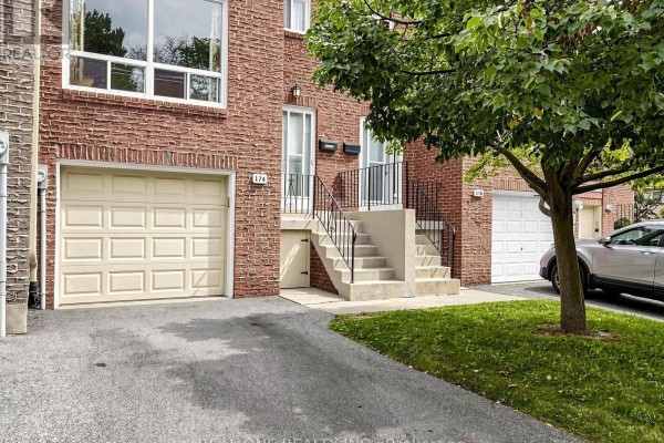 Kitchen - 174 Rusty Crestway, Toronto, ON M2J2Y6 Photo 3