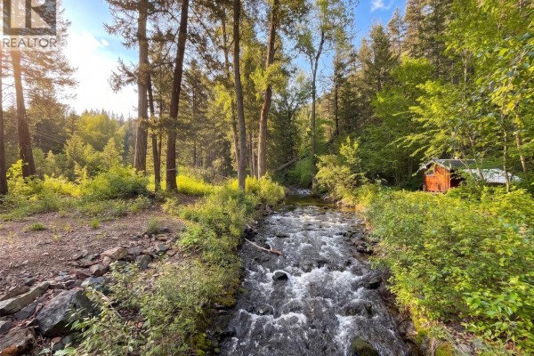 1748 Summers Creek Road, Princeton, BC V0X1W0 Photo 4