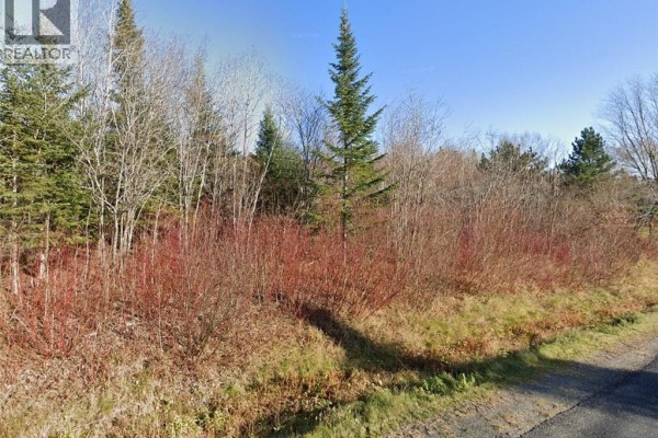 175 Riceville Road, St Hilaire, NB E3V4S7 Photo 2