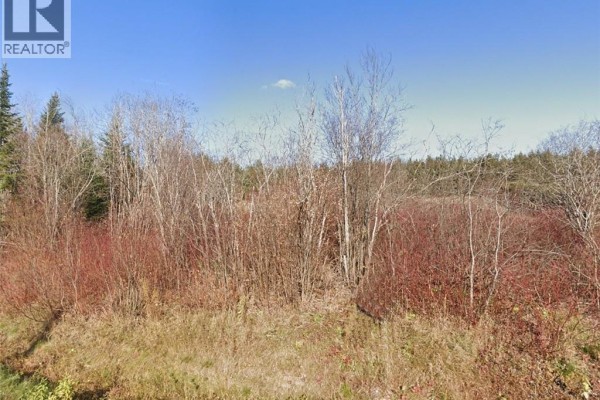 175 Riceville Road, St Hilaire, NB E3V4S7 Photo 3