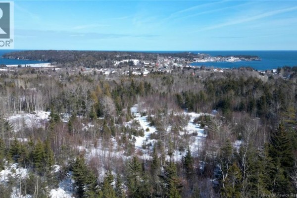 Wide view of snow-covered land with trees, overlooking the ocean and town. - 176 Route 776, Grand Manan