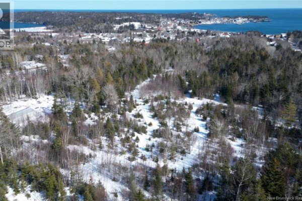 Aerial perspective of wooded land with snow, showcasing the coastline and surrounding area. - 176 Route 776, Grand Manan