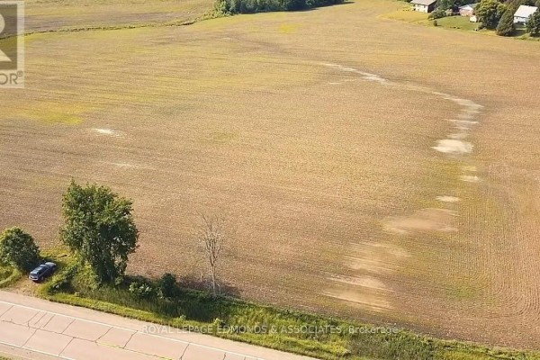 1767 Gore Line, Whitewater Region, ON K0J2L0 Photo 4