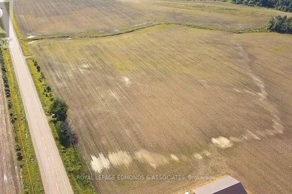 1767 Gore Line, Whitewater Region, ON K0J2L0 Photo 5