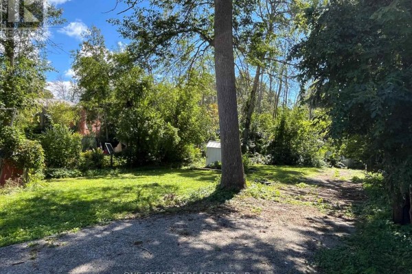Backyard view with trees, green grass, a shed, and a gravel driveway. - 177 Atherley Road, Orillia