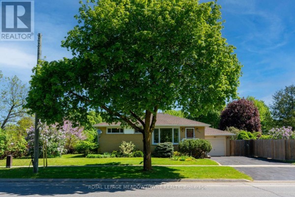 Wide shot of the bungalow from across the street, showcasing a large front tree. - 177 Delrex Boulevard, Halton Hills