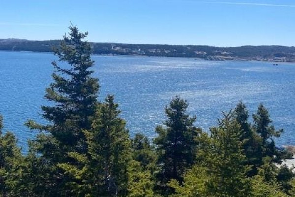 177b Coley's Point South Road, Bay Roberts, NL, photo 3