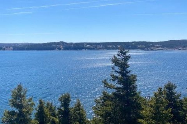 177b Coley's Point South Road, Bay Roberts, NL A0A1G0 Photo 5