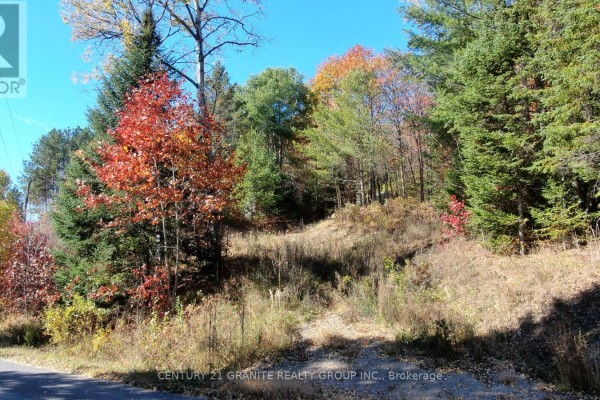 178 Gaebel Road, Bancroft, ON, photo 2