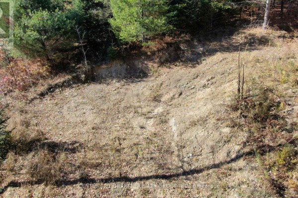 Wooded area with a dirt path and visible trees on a sloped terrain. - 178 Gaebel Road, Bancroft