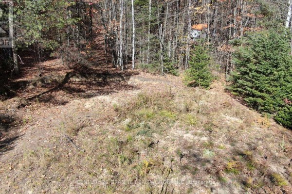 Aerial view of a wooded lot with a paved road and some scattered structures. - 178 Gaebel Road, Bancroft
