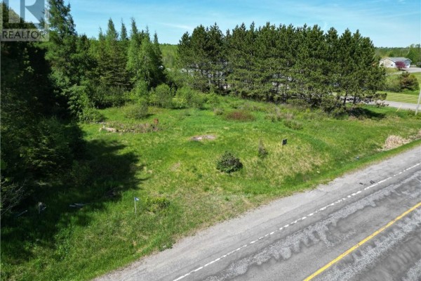 Drone shot of a cleared lot with green grass, scattered bushes, and surrounding trees. - 1789 Highway 575, Field