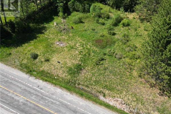 Overhead perspective of a grassy lot with some brush and trees, next to a paved road. - 1789 Highway 575, Field