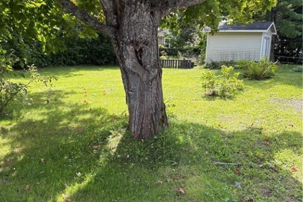 Bedroom - 179 Leblanc Avenue, Shediac, NB E4P1Y6 Photo 3