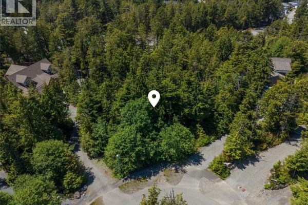 1797 Rainforest Lane, Ucluelet, BC V0R3A0 Photo 4