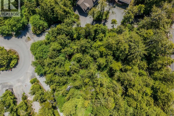 1797 Rainforest Lane, Ucluelet, BC V0R3A0 Photo 5