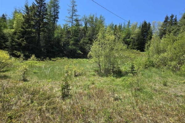 17987 316 Highway, Country Harbour, NS B0H0B1 Photo 4