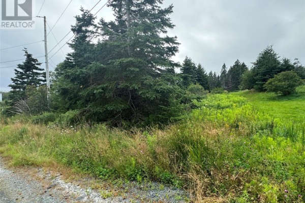 17a Crowes Lane, Torbay, NL A1K1H5 Photo 4