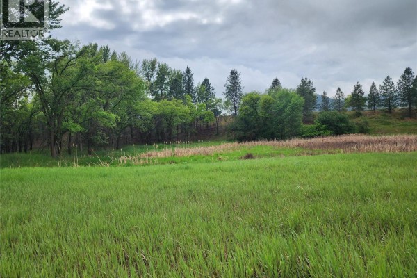 17th Street Lot# Lot 11, Grand Forks, BC V0H1H0 Photo 5