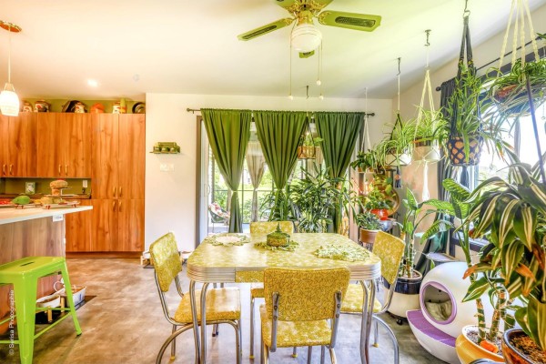 Dining area with a yellow retro table and chairs, wood cabinets, and numerous hanging plants. - 17z Ch. De La Péninsule, #b, Val Des Monts