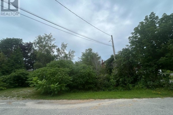 18 Ashwood Avenue, Georgina, ON L0E1N0 Photo 4