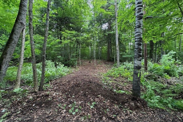 18 Ch. Des Faisans, Val Des Monts, QC J8N6L6 Photo 4
