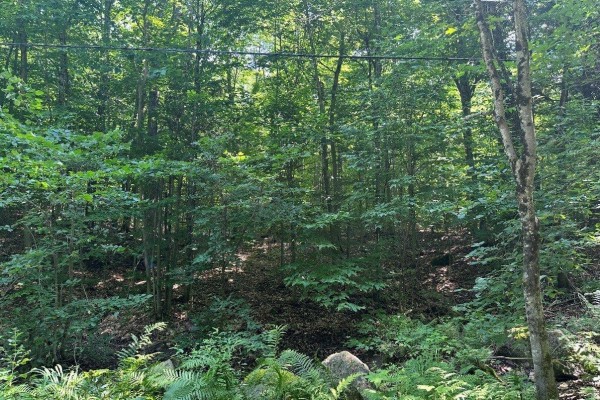 18 Ch. Des Faisans, Val Des Monts, QC J8N6L6 Photo 5