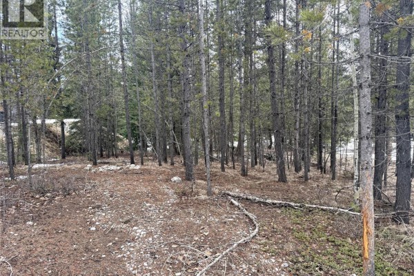 18 Darby Crescent, Elkford, BC V0B1H0 Photo 3