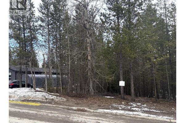 18 Darby Crescent, Elkford, BC V0B1H0 Photo 4