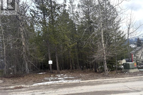 18 Darby Crescent, Elkford, BC V0B1H0 Photo 5