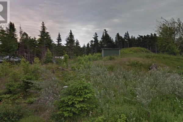 18 Gallows Cove, Torbay, NL A1K1G8 Photo 2